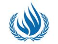 Dilemma confronting UN Human Rights mechanisms