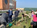 75 trees planted in Baku on 15 August 2021