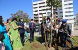 World Environment Day celebration with Tree plantation, Diaspora cultural event, promotional  Hindi event and  Yoga & Ayurveda events organised during Amrit Mahotsav Celebrations by EoI , Lisbon  (June ,  2021)